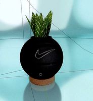 Nike Planter