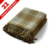 Plaid (336563)