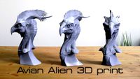 Avian Alien 3d Print OBJ / STL