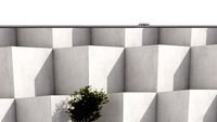 Television oma