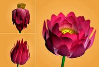 Download free Lotus Flower 3D Model