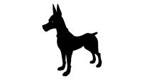 Cartoon dog