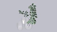 DECOR - Vaso com eucalipto