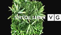 Jardim Vertical - Mix de Samambaias