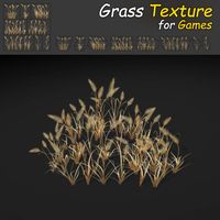 Dry Feather Grass 3D Model