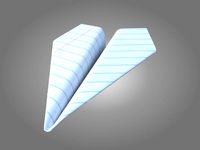 Paper Airplane