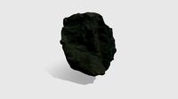 Fossil Plant