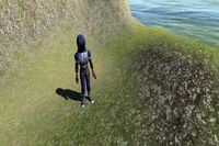 Fantasy Character Warrior