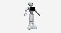 Pepper Robot