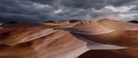 Desert Landscape