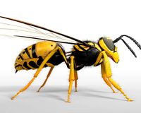 wasp hornet rigged hairs insect pbr low poly
