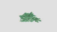 Cedrus deodara 40 AM219 Archmodel