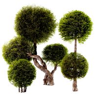 Topiary Ball Bush Set01 (337774)