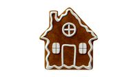 Gingerbread cookie 004