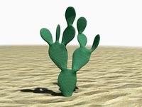 Prickly Pear Cactus 3D Model