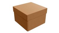Lid and try cardboard box 06