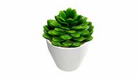 Artificial cactus composition 02