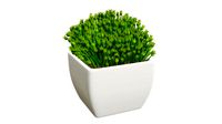 Artificial plant 06