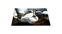Jigsaw Puzzle 280 pieces