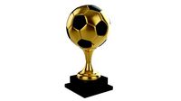 Trophy soccer ball