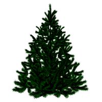 Artificial fir tree 03
