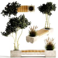 Bushes and tree for landscaping and urban environment 1145