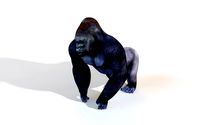 gorilla rigged animal