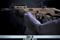 SM-K Assault Rifle With Hands And Weapon Case