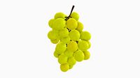 Grapes 06