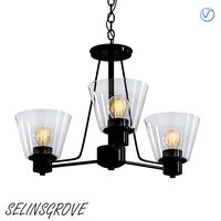 Selinsgrove (338406)