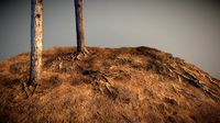Woodland - Photogrammetry