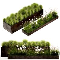 Grass and bushes in a rusty flowerbed 1148