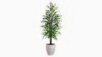 Potted Decorative Tree 02