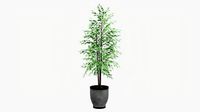 Potted Decorative Tree 02v2