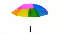 Large Automatic Umbrella Colorful
