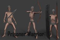 Prisoner Warrior