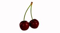 Cherry Double