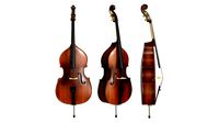Double Bass 01