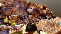 Owens Valley Petroglyphs