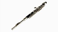 Piccolo Flute