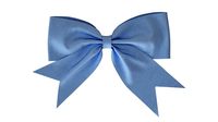 Small Ribbon Decoration Fabric Blue