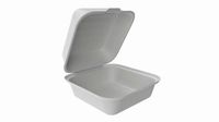 Compostable Take-Away Container Open