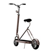 Electric kickboard (339605)