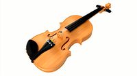 Classic Adult Violin Light