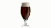 Beer glass with foam 03