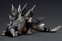 Dinosaur Stegosaurus Real Dinosaur 106 Animations