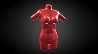 Female Torso