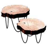 Slab coffee table 0213 (340838)