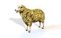 sheep rigged animal