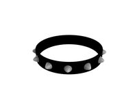 spike collar